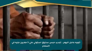 تنويه عاجل اليوم.. تجديد حبس سائق استولى على 5 ملايين جنيه في السلام